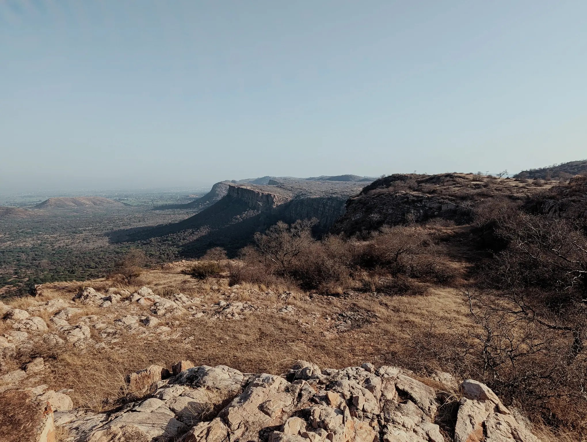 ranthambore_reserve_wildness_half