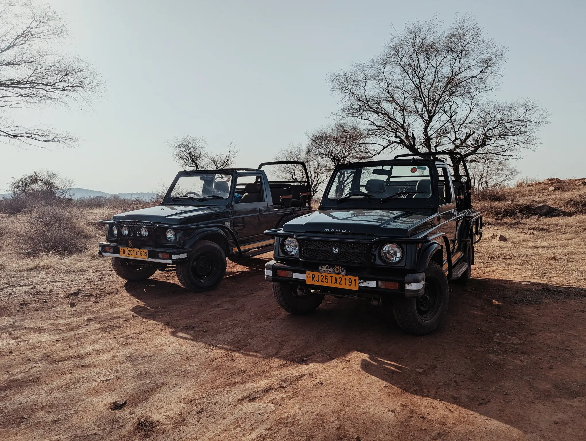 safari_jeeps_ranthambore_half