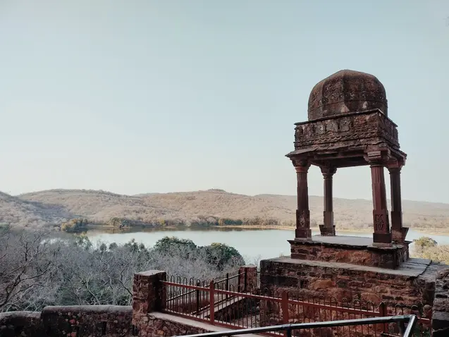 tour_fort_ranthambore_rajasthan_half
