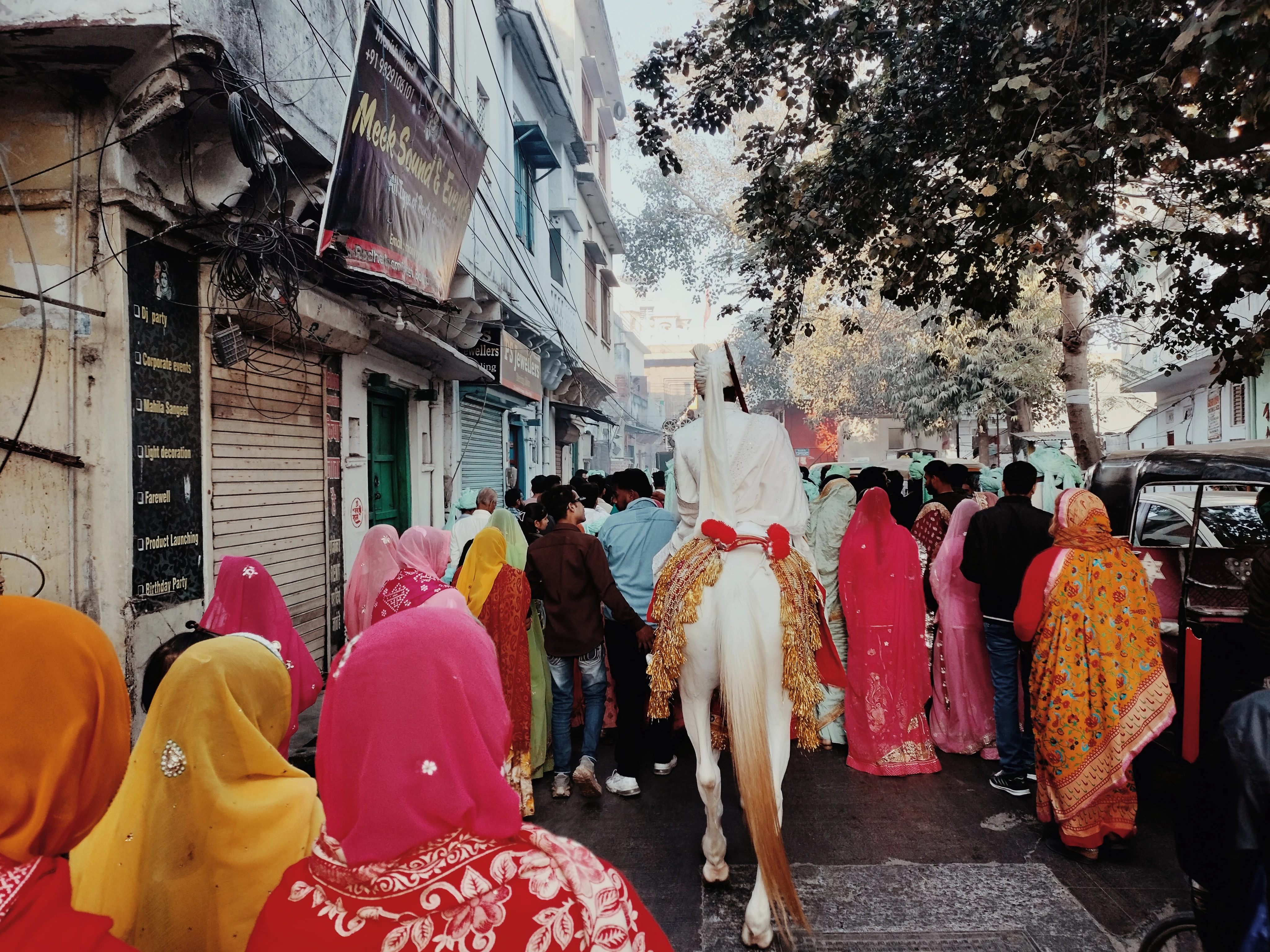 Cortège d'un mariage Rajput (Udaipur)