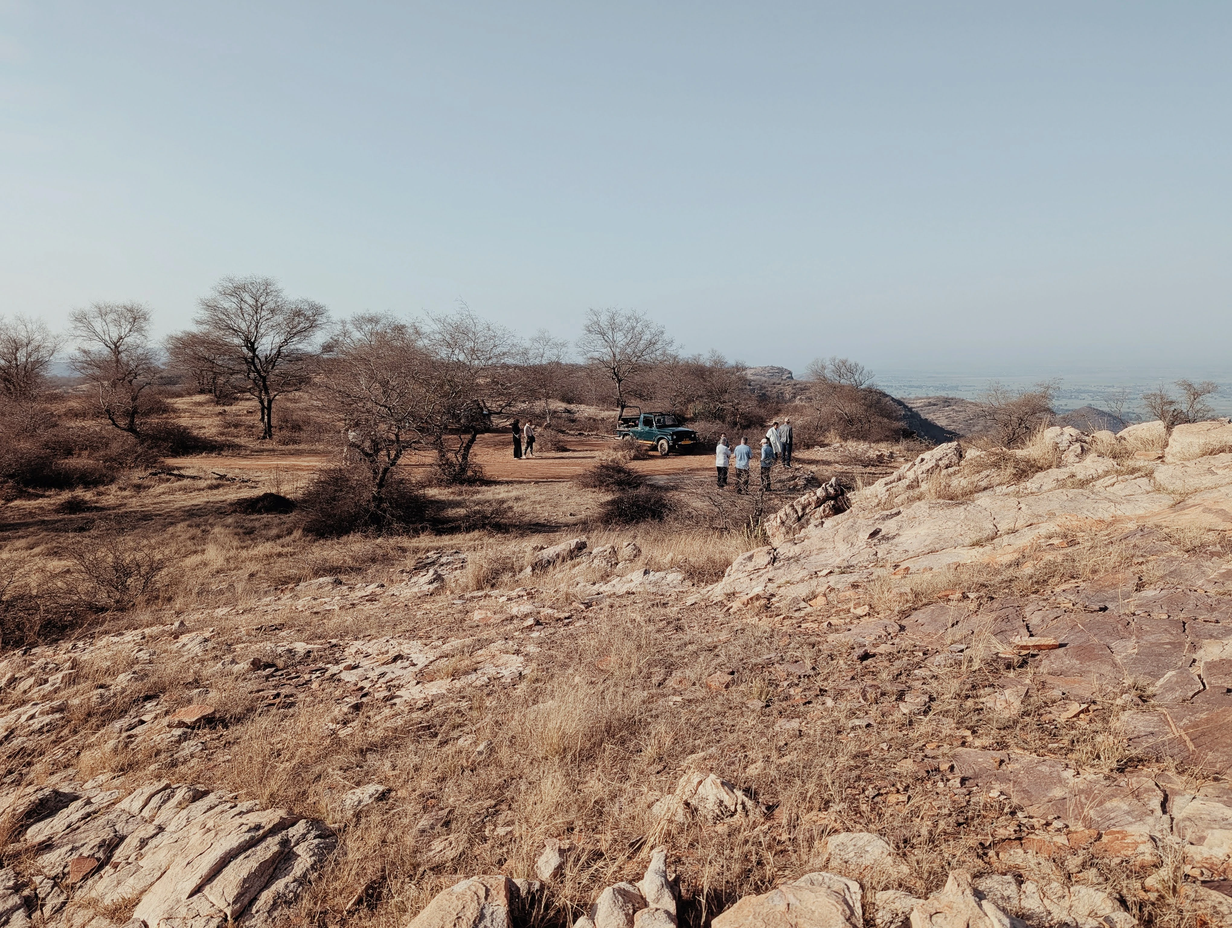 Paysage de Ranthambore