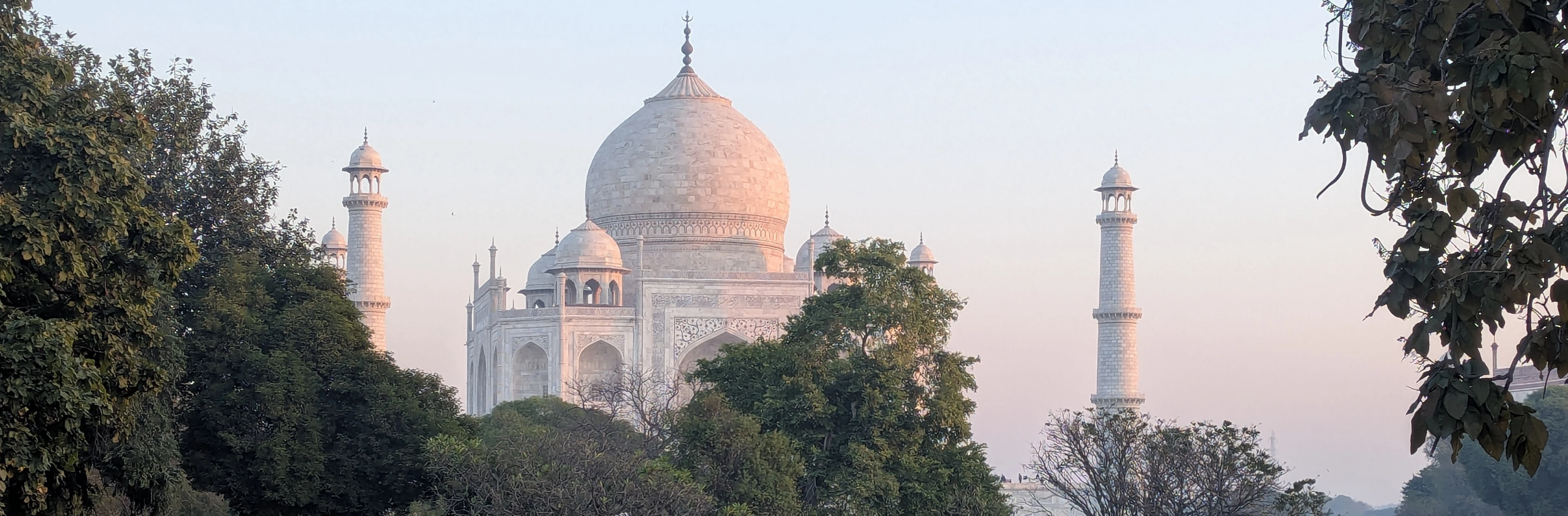 Taj Mahal derrière les arbres